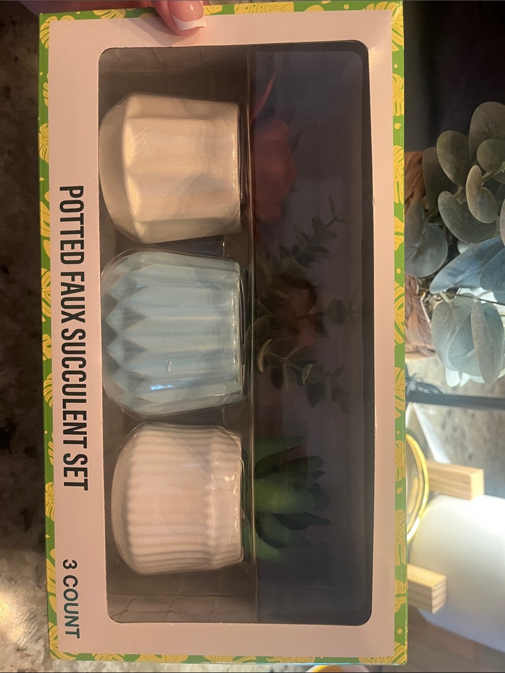 Potted Faux Succulent Set - Blue, White, Cream